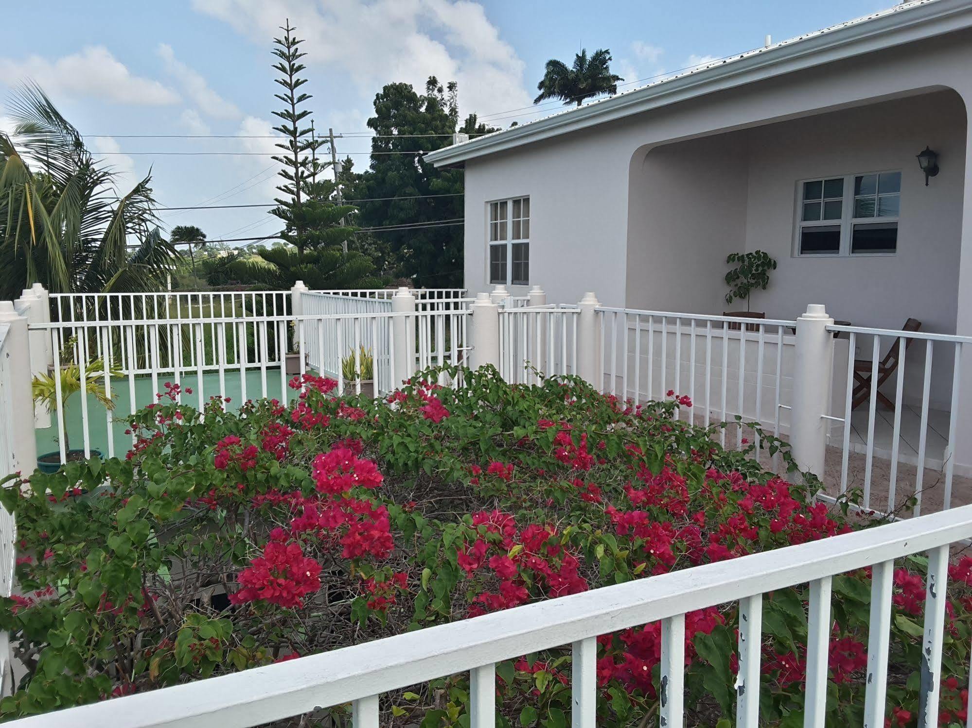 Caribbean Inn And Suites St. John's Eksteriør billede